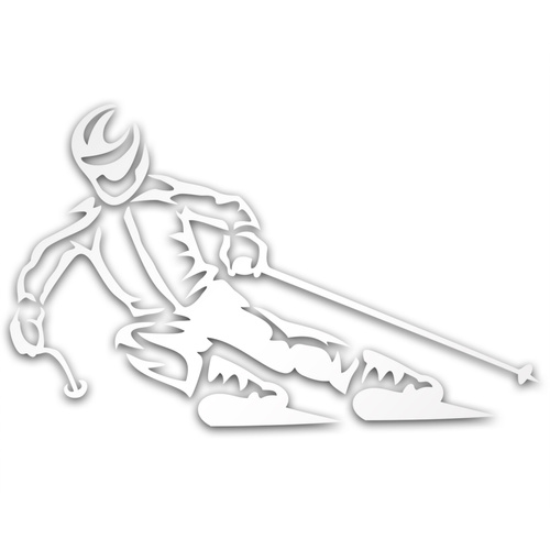 NARCIARZ 2 odblaskowa naklejka - srebrna