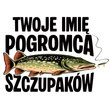 Nadruk umieszczony na koszulce - TWOJE IMIĘ FM / DTF / I006
