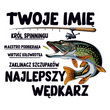 Nadruk umieszczony na koszulce - TWOJE IMIĘ FM / DTF / I001