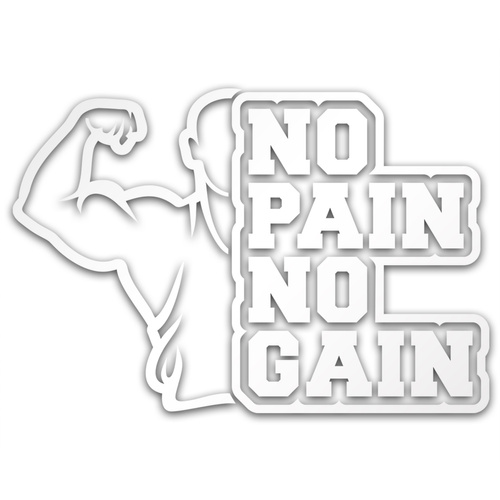 NO PAIN NO GAIN odblaskowa naklejka - srebrna