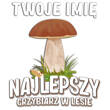 	Nadruk umieszczony na koszulce - PE / DTF / IB002